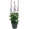 Floristik24 Dekoratyvinis levandų augalas, Viduržemio jūros levandų vazonas, violetinė dirbtinė gėlė