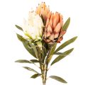 Floristik24 Dirbtinė Protea Leucadendron gėlė su ilgu kotu, 65 cm, 3 vnt.