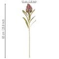 Dirbtinės protea gėlės Leucadendron 100 cm 3 vnt. | Floristik24.lt