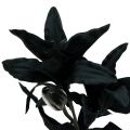 Floristik24 Dirbtinė gėlė lelija juoda 84cm