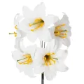 Floristik24 Dirbtinė lelija, balta, ant vielos, vidutinio dydžio, 35 cm, 5 vnt.