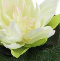 Floristik24 Plaukiojanti lotoso gėlė 18cm balta 3vnt