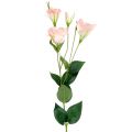 Floristik24 Lysianthus dirbtinė rožinė 87,5 cm
