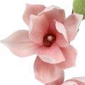 Floristik24 Magnolijos dirbtinė šviesiai rožinė 70cm