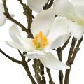 Floristik24 Dirbtinės magnolijos šakelės balta deko šakelė H40cm 4vnt