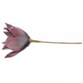 Floristik24 Dirbtinė gėlė magnolijos violetinė putplasčio gėlė Ø10cm 6vnt