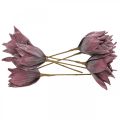 Floristik24 Dirbtinė gėlė magnolijos violetinė putplasčio gėlė Ø10cm 6vnt