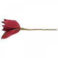 Floristik24 Dirbtinė magnolijos raudona dirbtinių gėlių putų gėlių dekoracija Ø10cm 6vnt