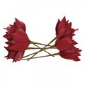 Floristik24 Dirbtinė magnolijos raudona dirbtinių gėlių putų gėlių dekoracija Ø10cm 6vnt