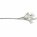 Floristik24 Magnolijos šakelė balta Dekoratyvinė šakelė magnolijos dirbtinė gėlė