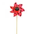 Floristik24 Ladybug pinwheel sodo puošmena vėjo malūnas raudonas Ø16,5cm