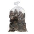 Maritima kūgiai 14/18 naturalūs 25 vnt | Floristik24.lt