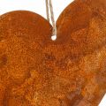 Floristik24 Metalinės širdelės, dekoratyviniai pakabukai, rūdžių apdaila 19×20 cm 4vnt