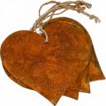 Floristik24 Metalinės širdelės, dekoratyviniai pakabukai, rūdžių apdaila 19×20 cm 4vnt