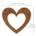 Floristik24 Širdies rūdžių sodo puošmena metalinė širdelė 10cm 12vnt