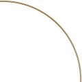 Floristik24 Metalinis žiedo dekoro žiedas Scandi žiedas deco kilpa auksinis Ø 25,5 cm 6 vnt