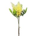 Floristik24 Dirbtinis augalas sidabrinė akacija mimoza geltonai žydinti 53cm 3vnt