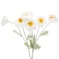 Floristik24 Dirbtinė aguona, balta, ilgakotė, 78 cm, 3 vnt.