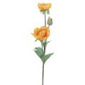 Floristik24 Dirbtinės gėlės Dirbtinės aguonos gėlės Dekoratyvinės aguonos oranžinės 48cm