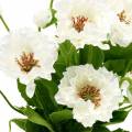 Floristik24 Aguonų vazonėlyje baltų šilko gėlių gėlių dekoracija