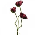 Dirbtinės aguonos, dirbtinis augalas, paskalų rožė raudona-juoda L55/60/70cm