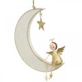 Floristik24 Advento puošmena, angelas ant mėnulio, medinė dekoracija pakabinimui balta, auksinė A14,5cm P21,5cm 3vnt.