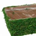 Floristik24 Planter Moss Green 20×10cm H9cm