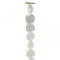 Floristik24 Shell Girland Mother of Pearl Shell Girland Capiz 195cm
