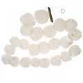 Shell Girland Mother of Pearl Shell Girland Capiz 195cm | Floristik24.lt