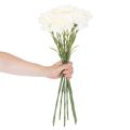 Dirbtinės gvazdikos su koteliu puokštėms ir vainikams, 56 cm, 8 vnt. | Floristik24.lt