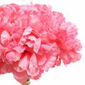 Floristik24 Dirbtinis gvazdikas rožinis 25cm 7vnt Dirbtinis augalas kaip tikras !