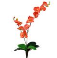 Floristik24 Orchidėja dvi šakos 60cm oranžinės spalvos