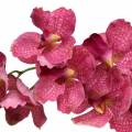 Floristik24 Dirbtinė orchidėjos šakelė Rožinė H83cm