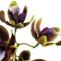 Floristik24 Orchid Cymbidium Green, Purple L38cm 4vnt