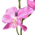 Floristik24 Orchidėja Phalaenopsis dirbtinė 6 žiedai violetiniai 70cm