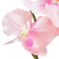 Floristik24 Orchid Phalaenopsis dirbtinės 6 gėlės rožinės spalvos 70cm