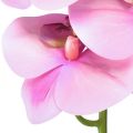 Floristik24 Orchidėja Phalaenopsis dirbtinė 8 žiedai rožiniai 104cm
