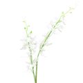 Floristik24 Orchidėjos dirbtinės Oncidium dirbtinės gėlės baltos 90cm