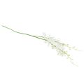 Floristik24 Orchidėjos dirbtinės Oncidium dirbtinės gėlės baltos 90cm