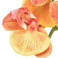 Floristik24 Dirbtinė orchidėja Phalaenopsis liepsnojanti raudonai geltona 78cm
