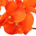 Floristik24 Orchidėjos šakelė oranžinė 61cm