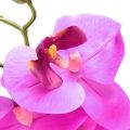 Floristik24 Dirbtinė orchidėja Phalaenopsis Orchid Pink 78cm
