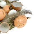 Floristik24 Velykinis vainikas su kiaušiniais Ø24cm natūralus, baltas