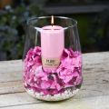 Floristik24 PURE kolonų žvakė 130/70 Rožinė dekoratyvinė žvakė tvarus natūralus vaškas