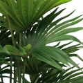 Floristik24 Palminė dekoratyvinė vėduoklė palmių dirbtinių augalų vazonas žalias 80cm