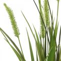 Floristik24 Dirbtinė nendrių žolė su šakniavaisiniu dirbtiniu augalu H63cm