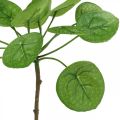 Floristik24 Peperomia Dirbtinis žalias augalas su lapais 30cm
