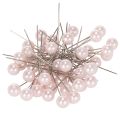 Floristik24 Pearl Head Pins Pink Ø10mm 60mm