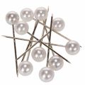 Floristik24 Pearl galvos kaiščiai balti Ø15mm 75mm