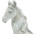 Floristik24 Arklio galvos krūtinė deko figūrėlė arklio keramika balta, pilka H31cm